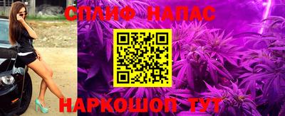 эйфоретик Славгород