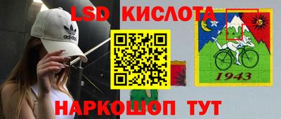 эйфоретик Славгород